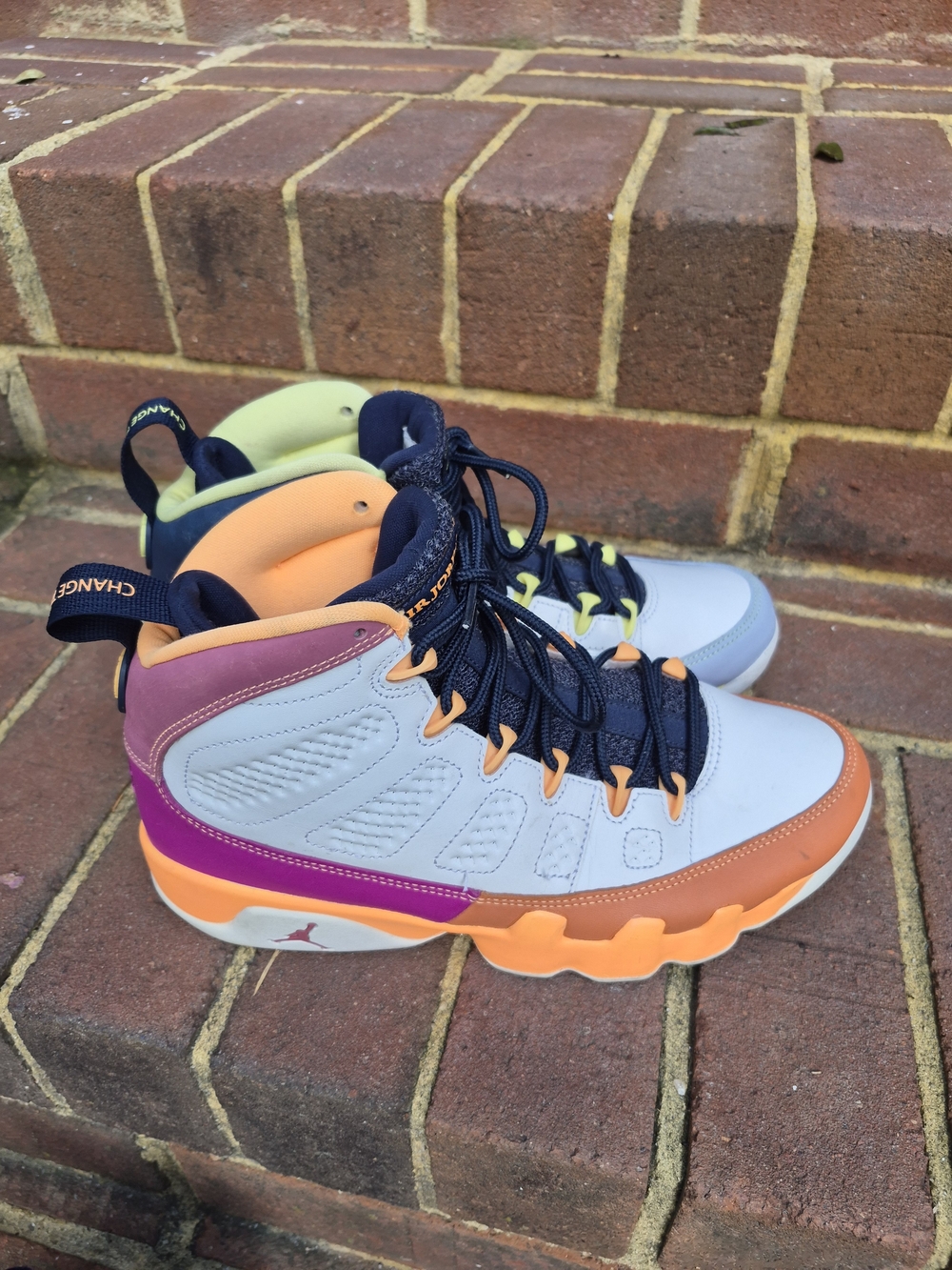Air Jordan Retro 9 Change The World